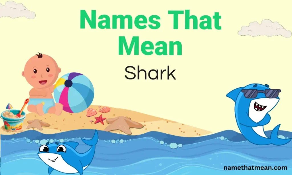 names-that-mean-shark