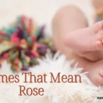 Names That Mean Rose
