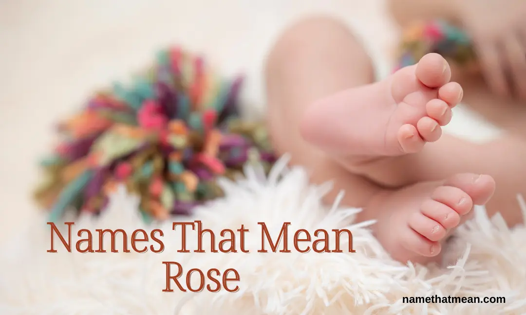 Names That Mean Rose